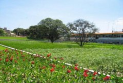 龍里縣人工濕地工程